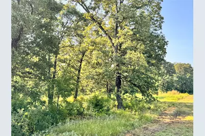 Tbd Fm 513, East Tawakoni, TX 75472 - Photo 9