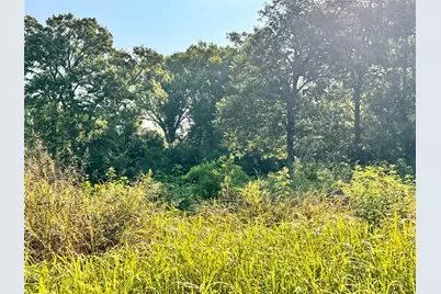 Tbd Fm 513, East Tawakoni, TX 75472 - Photo 11