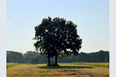 Tbd Fm 513, East Tawakoni, TX 75472 - Photo 3