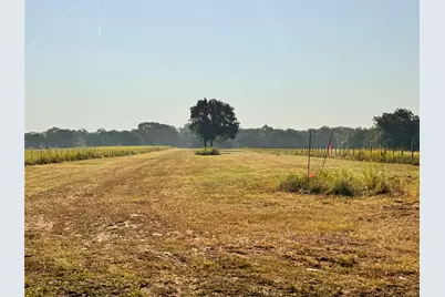 Tbd Fm 513, East Tawakoni, TX 75472 - Photo 15