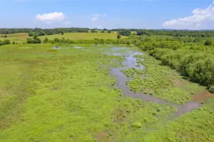 12250 Co Rd 3513, Brownsboro, TX 75756 - Photo 23