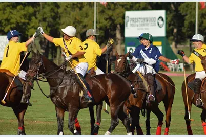 510 Prestonwood Polo Drive, Oak Point, TX 75068 - Photo 39