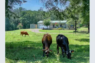 2063 Rs County Road 2370 Road, Alba, TX 75410 - Photo 19