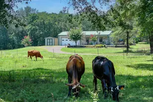 2063 Rs County Road 2370 Rd, Alba, TX 75410 - Photo 19