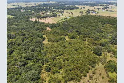 883 Fm 1653, Ben Wheeler, TX 75754 - Photo 13