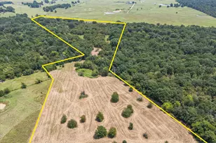 883 Fm 1653, Ben Wheeler, TX 75754 - Photo 1