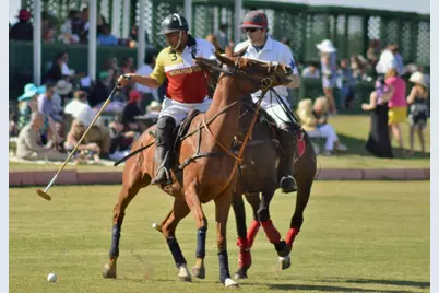 521 Martingale Trail, Oak Point, TX 75068 - Photo 29