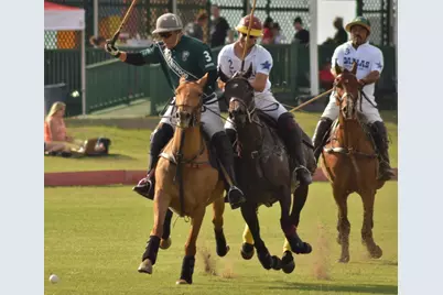 521 Martingale Trail, Oak Point, TX 75068 - Photo 7