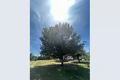 3201 Fm 2194, Farmersville, TX 75442 - Photo 21