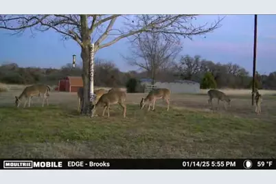 448 County Road 4287, Decatur, TX 76234 - Photo 33