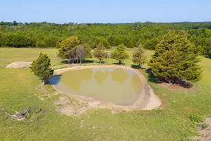 511 Co Rd 2765, Honey Grove, TX 75446 - Photo 5