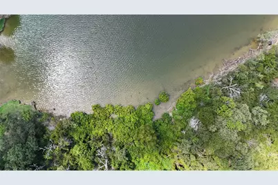 Tract 1 SE County Road 3230, Kerens, TX 75144 - Photo 17