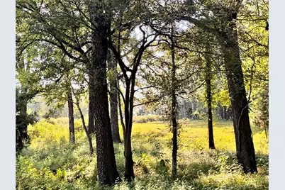 383 Rscr 1605, East Tawakoni, TX 75472 - Photo 5