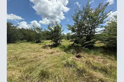 0 Fm 2653 Ws Inside Ridgeway Ranches Road, Sulphur Springs, TX 75482 - Photo 3