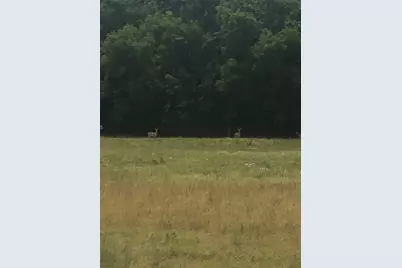 Tract 13-Tbd Fm-677, Saint Jo, TX 76265 - Photo 9