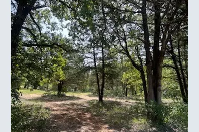 Tbd Lakeview Drive, Quinlan, TX 75474 - Photo 7