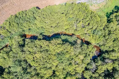 9964 State Hwy 171, Covington, TX 76636 - Photo 7