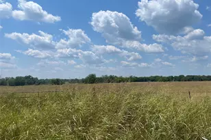 Tbd Cr 3561, Sulphur Bluff, TX 75481 - Photo 1