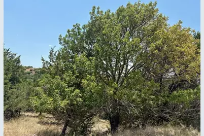 Lot 246 Broadmoor Court, Possum Kingdom Lake, TX 76449 - Photo 9