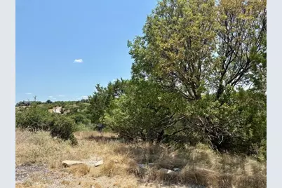 Lot 246 Broadmoor Court, Possum Kingdom Lake, TX 76449 - Photo 7