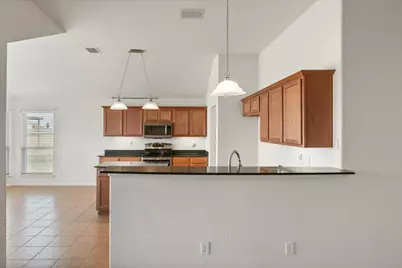 1117 Macadamia Street, Venus, TX 76084 - Photo 9