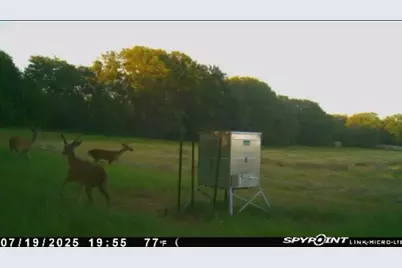 13610 Hwy 183, Rising Star, TX 76471 - Photo 23