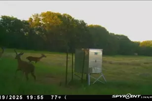 13610 Hwy 183, Rising Star, TX 76471 - Photo 23