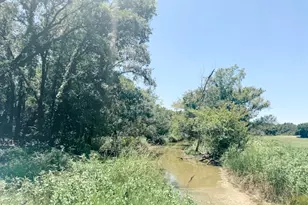 13610 Hwy 183, Rising Star, TX 76471 - Photo 27