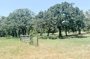 13610 Hwy 183, Rising Star, TX 76471 - Photo 35