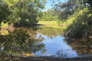 13610 Hwy 183, Rising Star, TX 76471 - Photo 21