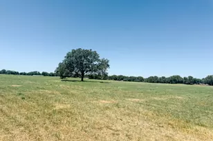 13610 Hwy 183, Rising Star, TX 76471 - Photo 39