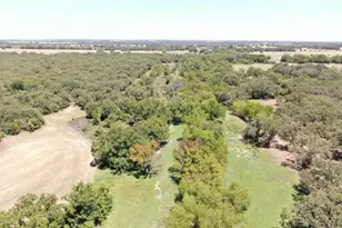 13610 Hwy 183, Rising Star, TX 76471 - Photo 5
