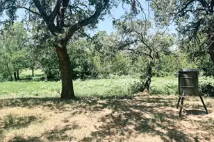 13610 Hwy 183, Rising Star, TX 76471 - Photo 33