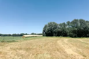 13610 Hwy 183, Rising Star, TX 76471 - Photo 39