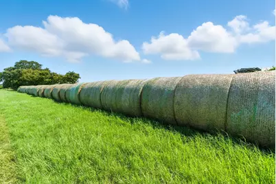 25750 S Fm 4, Lipan, TX 76462 - Photo 9