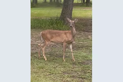 15415 Thunder Road, Terrell, TX 75161 - Photo 17