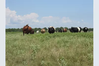 2464 County Rd 1245, Savoy, TX 75479 - Photo 9