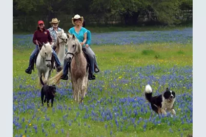 1905 Bayshore Drive, Flower Mound, TX 75022 - Photo 21