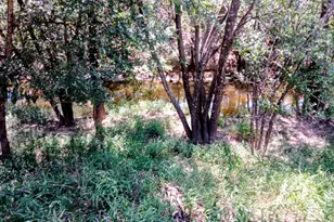 2901 Austin Ave, Brownwood, TX 76801 - Photo 31