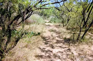 2901 Austin Ave, Brownwood, TX 76801 - Photo 33