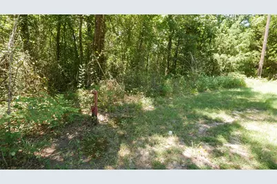 Tbd Garner Drive, Mabank, TX 75156 - Photo 11