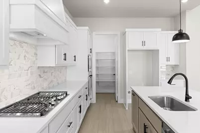 637 Bunchberry Street, Fort Worth, TX 76247 - Photo 13