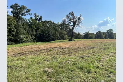 5100 Fm 2909, Canton, TX 75103 - Photo 3