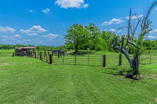 268 Vz County Road 3416, Wills Point, TX 75169 - Photo 7