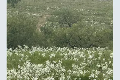 279 Private Road 4512, Decatur, TX 76234 - Photo 3