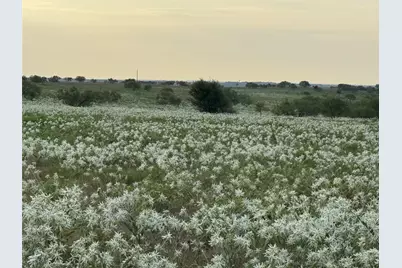 237 Private Road 4512, Decatur, TX 76234 - Photo 3