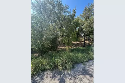 Tbd Sam Houston, Mineral Wells, TX 76067 - Photo 1