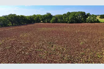 0 Cr 237, Gainesville, TX 76240 - Photo 3