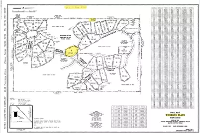 Rs Private Road 6372, Alba, TX 75410 - Photo 1