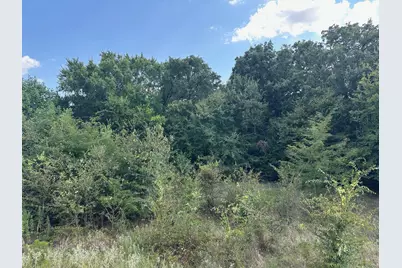 Rs Private Road 6372, Alba, TX 75410 - Photo 3
